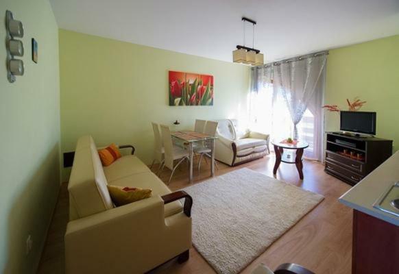 Apartamento Panorama Koscielisko Zakopane Exterior foto