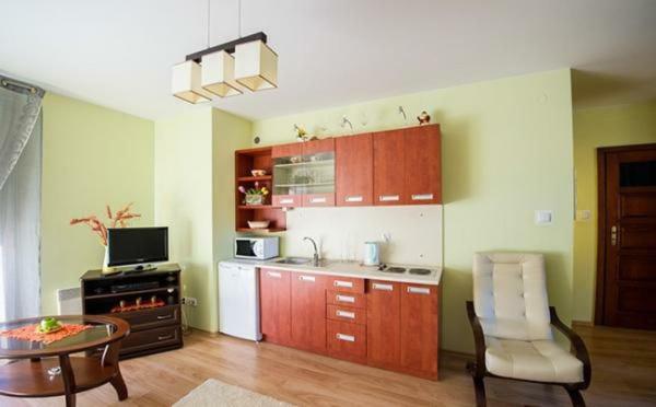 Apartamento Panorama Koscielisko Zakopane Exterior foto